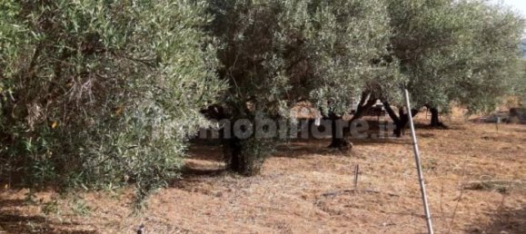 Земельный участок 3634м² в Капотерра, Италия № 292493 3