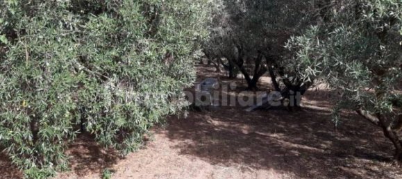 Земельный участок 3634м² в Капотерра, Италия № 292493 5