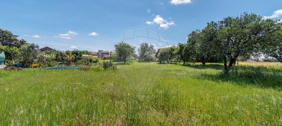 3 غرف نوم منزل في Arazede, Portugal رقم 35680 19