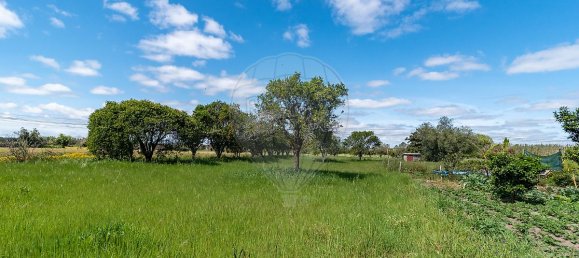 3 غرف نوم منزل في Arazede, Portugal رقم 35680 17