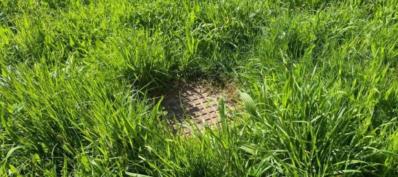 Casa de 1 dormitorio en Asturias, Spain No. 166262 13