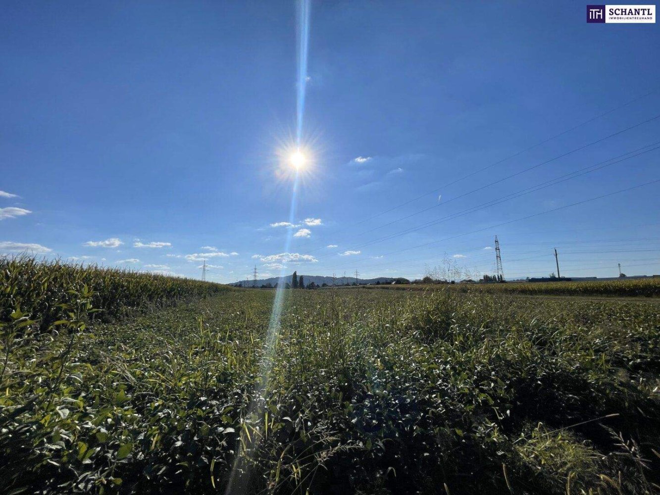 Terrain à Gralla, Austria No. 201920