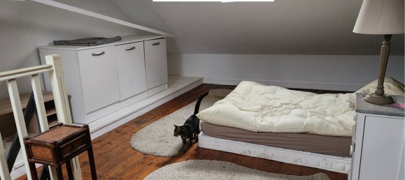 2 غرف نوم منزل في Chateauneuf-sur-Loire, France رقم 95009 2