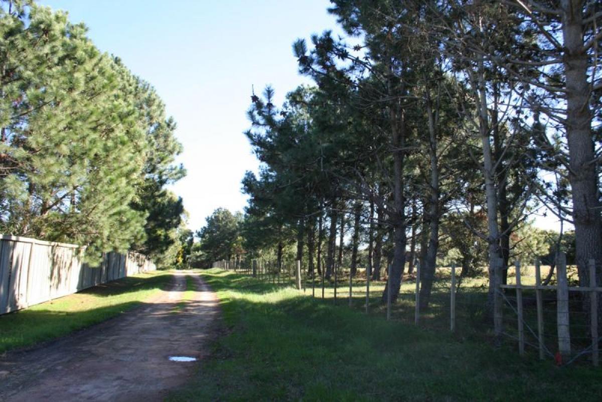 Ферма в Мальдонадо, Уругвай № 14439