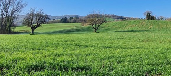 6 rooms House in Coriano, Italy No. 211432 10