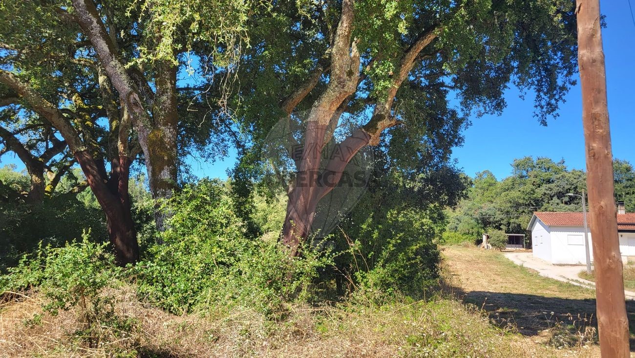  Land in Fatima, Portugal No. 157563