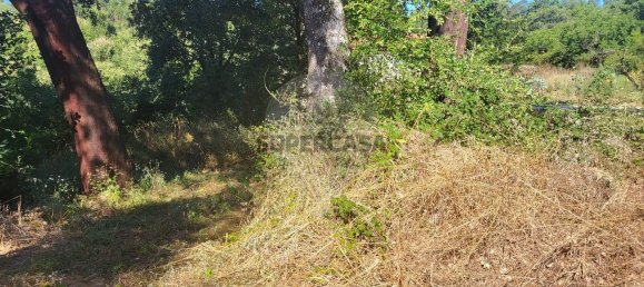 Land in Fatima, Portugal No. 157563 7