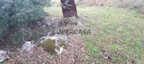 Land in Fatima, Portugal No. 157563 5