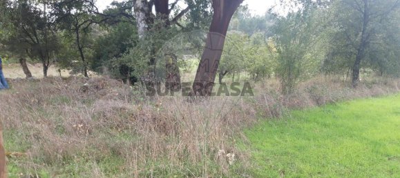 Land in Fatima, Portugal No. 157563 6