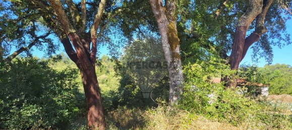 Land in Fatima, Portugal No. 157563 3