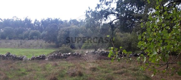 Land in Fatima, Portugal No. 157563 8