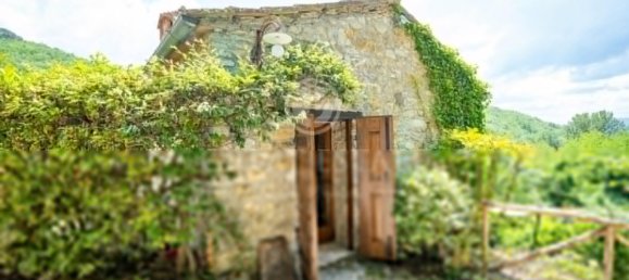 11 Schlafzimmer Schlösser in Castellina in Chianti, Italy, Nr. 179464 22