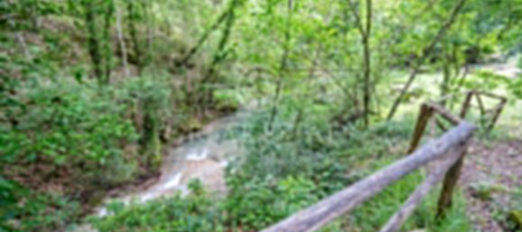 11 Schlafzimmer Schlösser in Castellina in Chianti, Italy, Nr. 179464 19