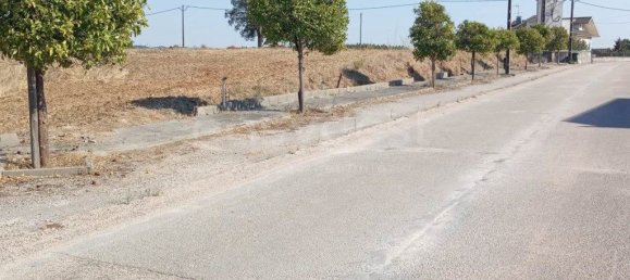 Terreno em Tomar, Portugal 7050 m² N.º 79629 6