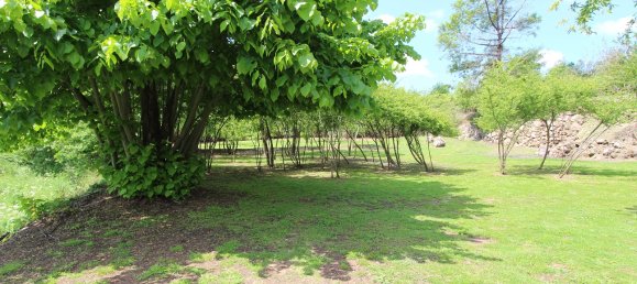 Terreno em Tábua, Portugal N.º 332883 28