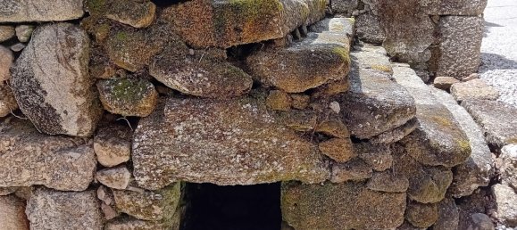 Terreno em Tábua, Portugal N.º 332883 23