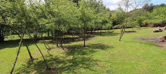 Terreno em Tábua, Portugal N.º 332883 26