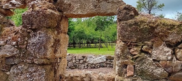 Terreno em Tábua, Portugal N.º 332883 22