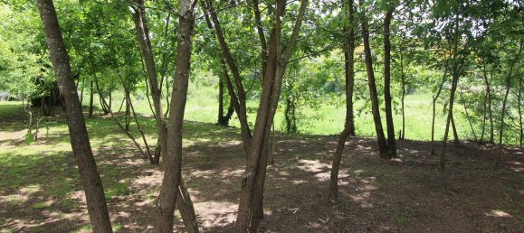 Terreno em Tábua, Portugal N.º 332883 27