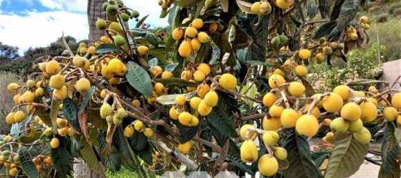 2 bedrooms House in Almayate Bajo, Spain No. 38718 20