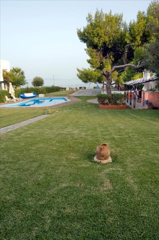 1 bedroom Villa in Megara, Greece No. 6232