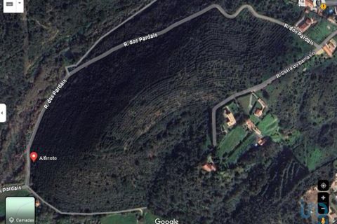 2187m² Land in Mafra, Portugal No. 249310