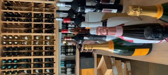 Gewerbliche Immobilie in Peguera, Spain 800m², Nr. 14133 4