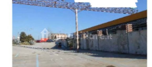 5 rooms Commercial property in Ardea, Italy No. 352256 5