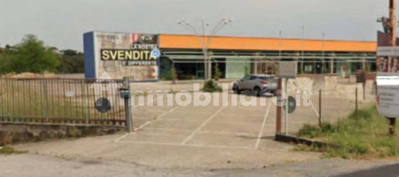 5 rooms Commercial property in Ardea, Italy No. 352256 2