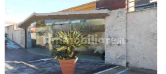 5 rooms Commercial property in Ardea, Italy No. 352256 4