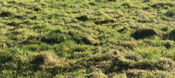 Terreno em Hauteville, France N.º 76455 3