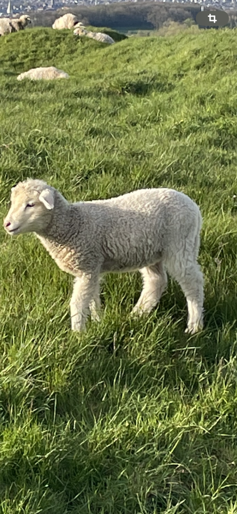 Terreno em Hauteville, France N.º 76455