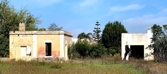 3 rooms House in Matino, Italy No. 228223 14