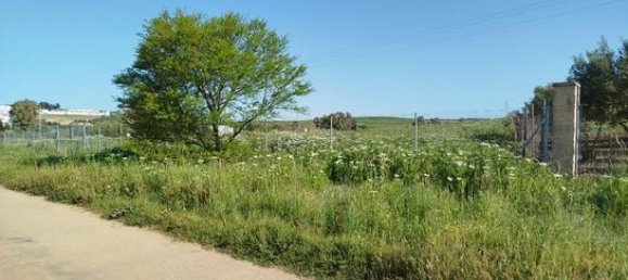 Grundstück in Cadiz, Spain 5600m², Nr. 186681 6