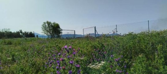 Grundstück in Cadiz, Spain 5600m², Nr. 186681 3