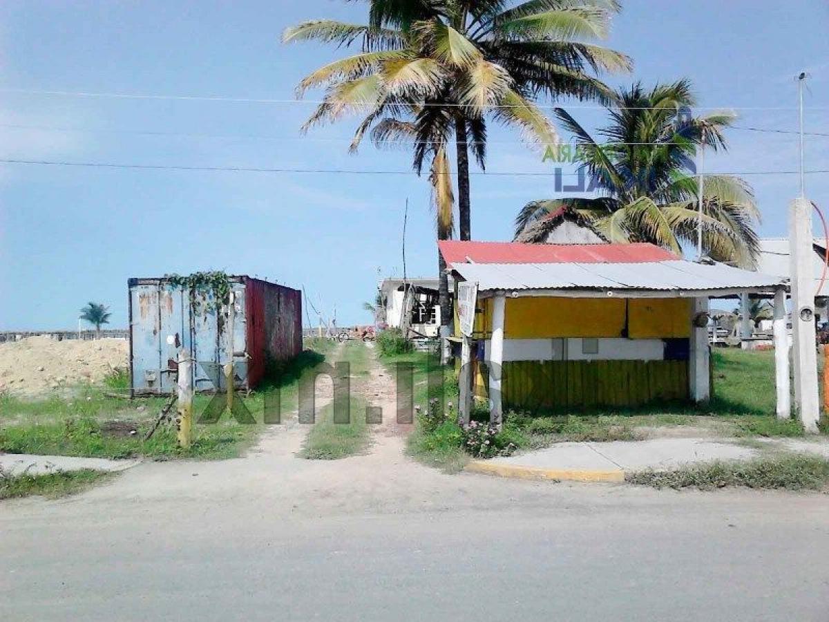  Land in Veracruz, Mexico No. 206373