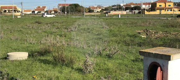 4181m² Building in Alenquer, Portugal No. 56208 5