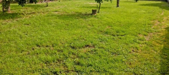 1 غرف نوم منزل في Anhalt-Bitterfeld, Germany رقم 248247 4