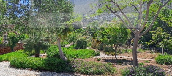 3 chambres house à vendre à Chania, Crete, Greece № 360 24