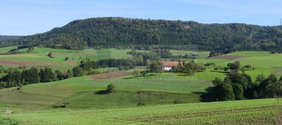 8-salle Ferme à Schwarzwald-Baar-Kreis, Germany No. 66263 13