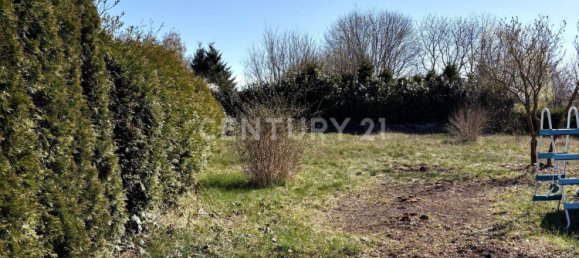 8غرفة منزل في Vorpommern-Greifswald, Germany رقم 165894 7