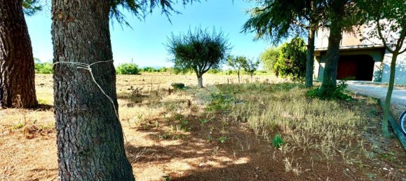 5غرفة منزل في San Mauro Pascoli, Italy رقم 1768 7