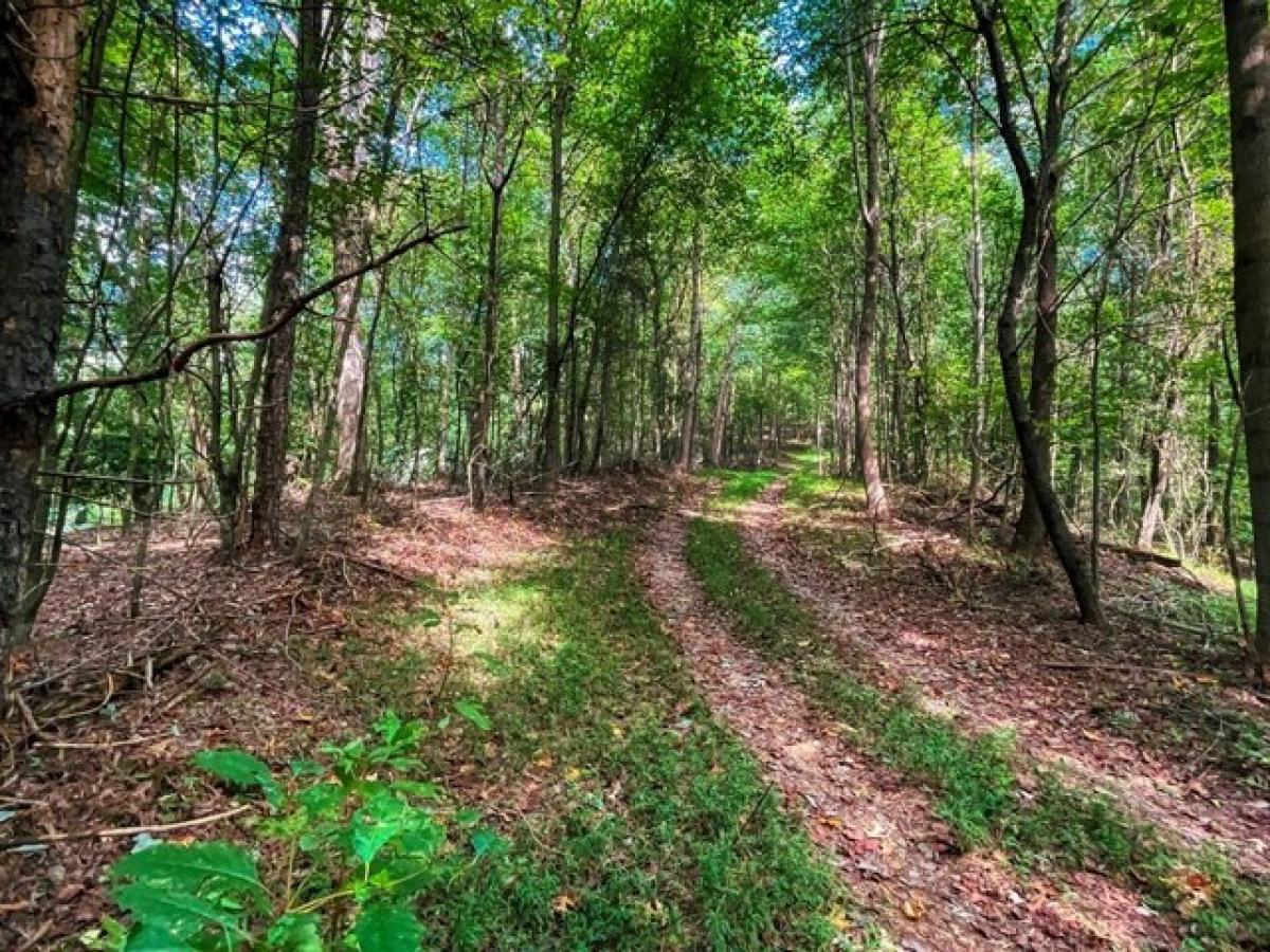  Land in Ellijay, USA No. 494835