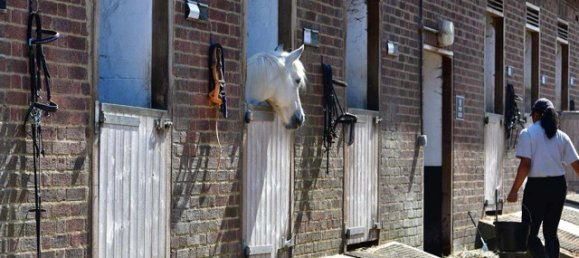 2 Schlafzimmer Wohnung in Enfield, United Kingdom, Nr. 3308 23