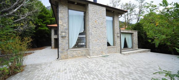 Propiedad comercial de 4 dormitorios en Boeotia, Greece No. 7453 19