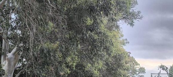 Дом с 12 спальнями в Кульера, Испания № 180487 22