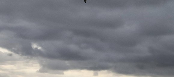 Дом с 12 спальнями в Кульера, Испания № 180487 31