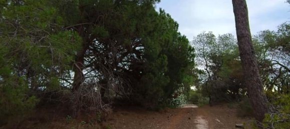 Дом с 12 спальнями в Кульера, Испания № 180487 20