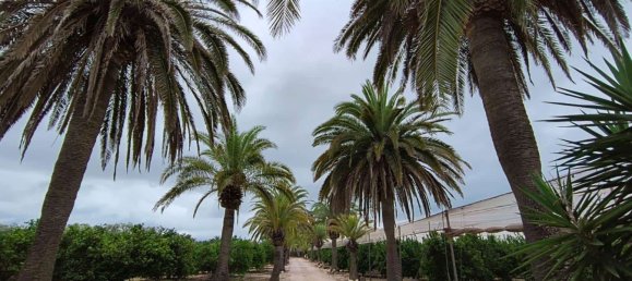 Дом с 12 спальнями в Кульера, Испания № 180487 21