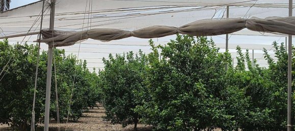 Дом с 12 спальнями в Кульера, Испания № 180487 14